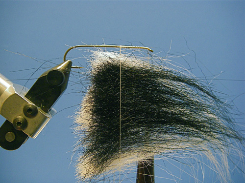 D-&-D-LEECH-BLENDED-1 Step One. Stack the colors and then insert the entire clump into the spinning loop.
