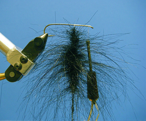 Loop-with-spun-hair Step Three for the Down and Dirty Leech.