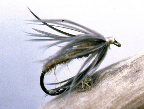wet-dry-fly The Wet/Dry F;y, sans shuck.