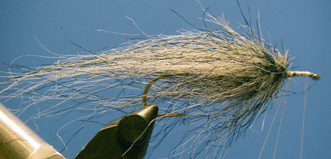 BH-Leech-1 Step One: Form the Down and Dirty Leech portion of the fly, leaving enough room for the head.