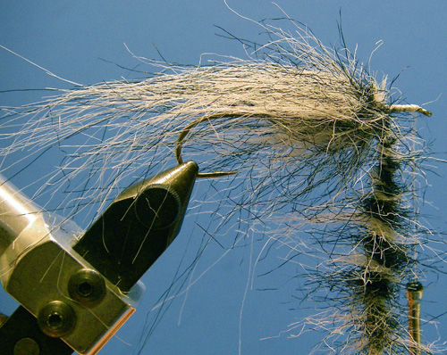 BH-Leech-4 Step Three: Spin the loop tight and pluck out any unsecured dubbing.