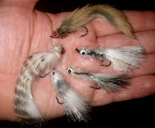 john-beths-blies John Beth's first-choice steelhead flies--Counterclockwise from the Top: John's Brown Bunny, John's Silver Bunny, three versions of John's Silver Shiners.