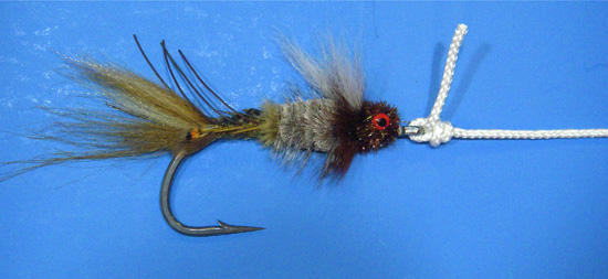 Clinch-Step-4 Step 4. HOLD THE SHORT END. Draw the knot tight by pulling only on the standing end of the tippet.