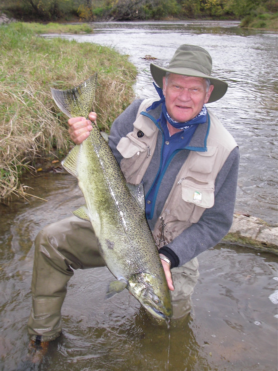 Hen Fish
