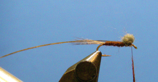 Pasrachute-Floating-Nymph-2