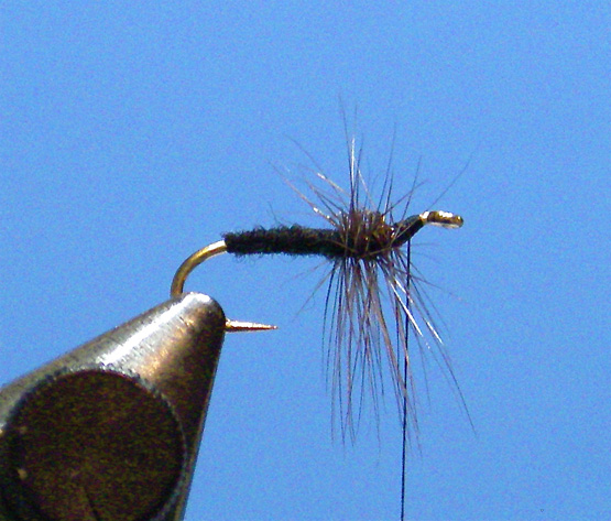 Poly-Caddis-1