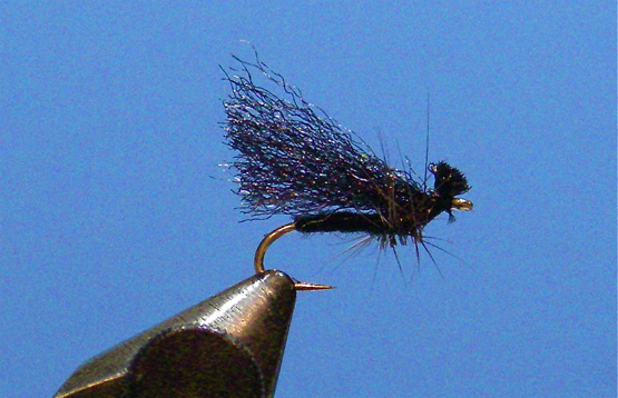 Poly-Caddis-2