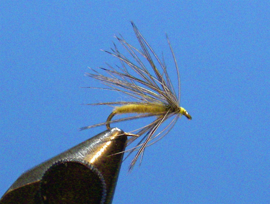 wet-dry-fly-2