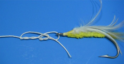 Belize-Knot-4