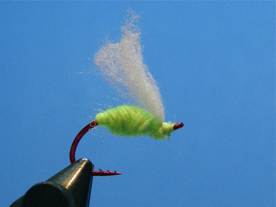Roe-Bug-1