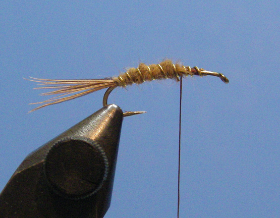 HL-GRHE 3