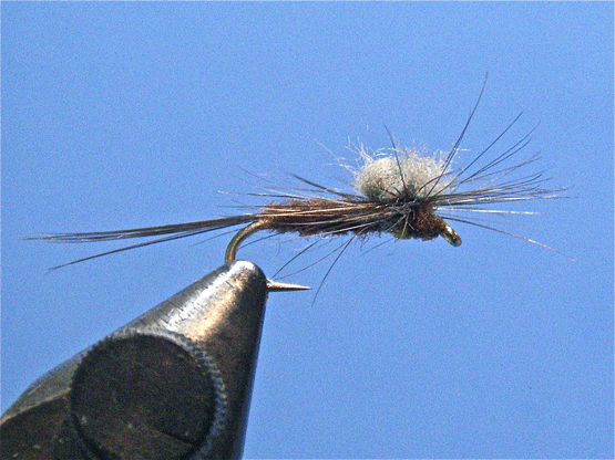 Parachute-Float-Nymph-4