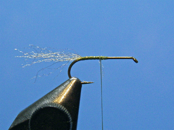 Wet-Dry-Fly-1