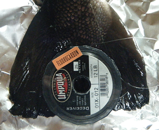 08 Hatchery-Salmon-tail
