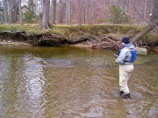 06 Harry-Fights-Steelhead