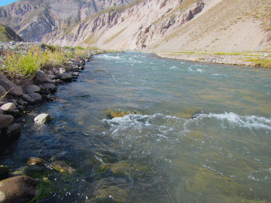 Rio-Tordillo