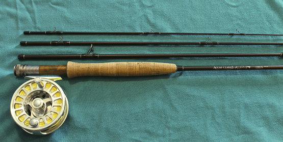 Rod-with-reel
