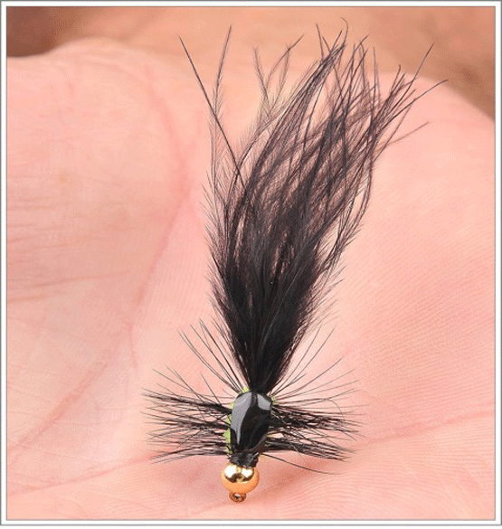 Long-Tail-Sally-4