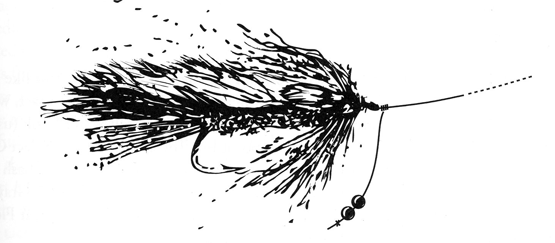 Skittering-Anchor