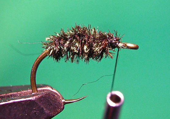 Fly-3