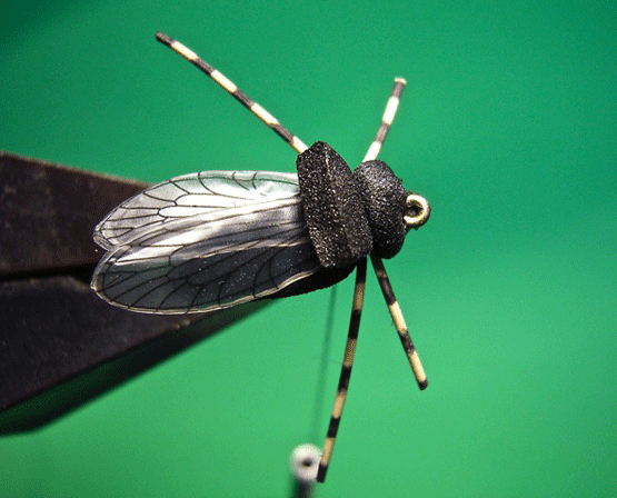 Fly-8