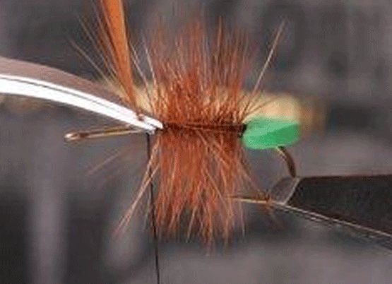 Winding-Rear-hackle