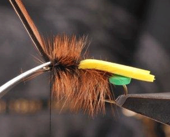 adding-front-hackle