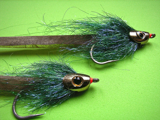 Eel-Heads
