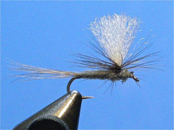 www.garyborger.com